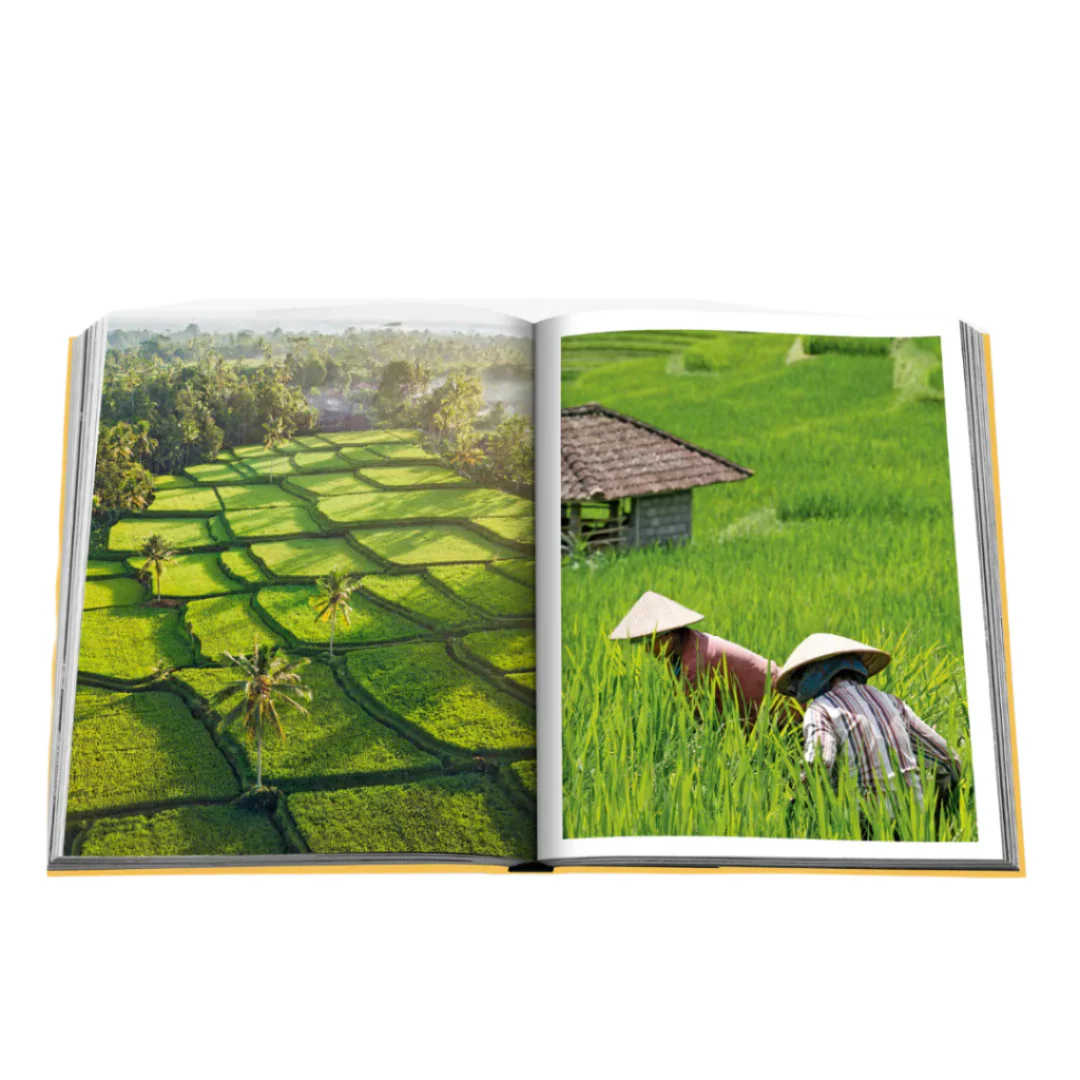 Bali Mystique - Image 5