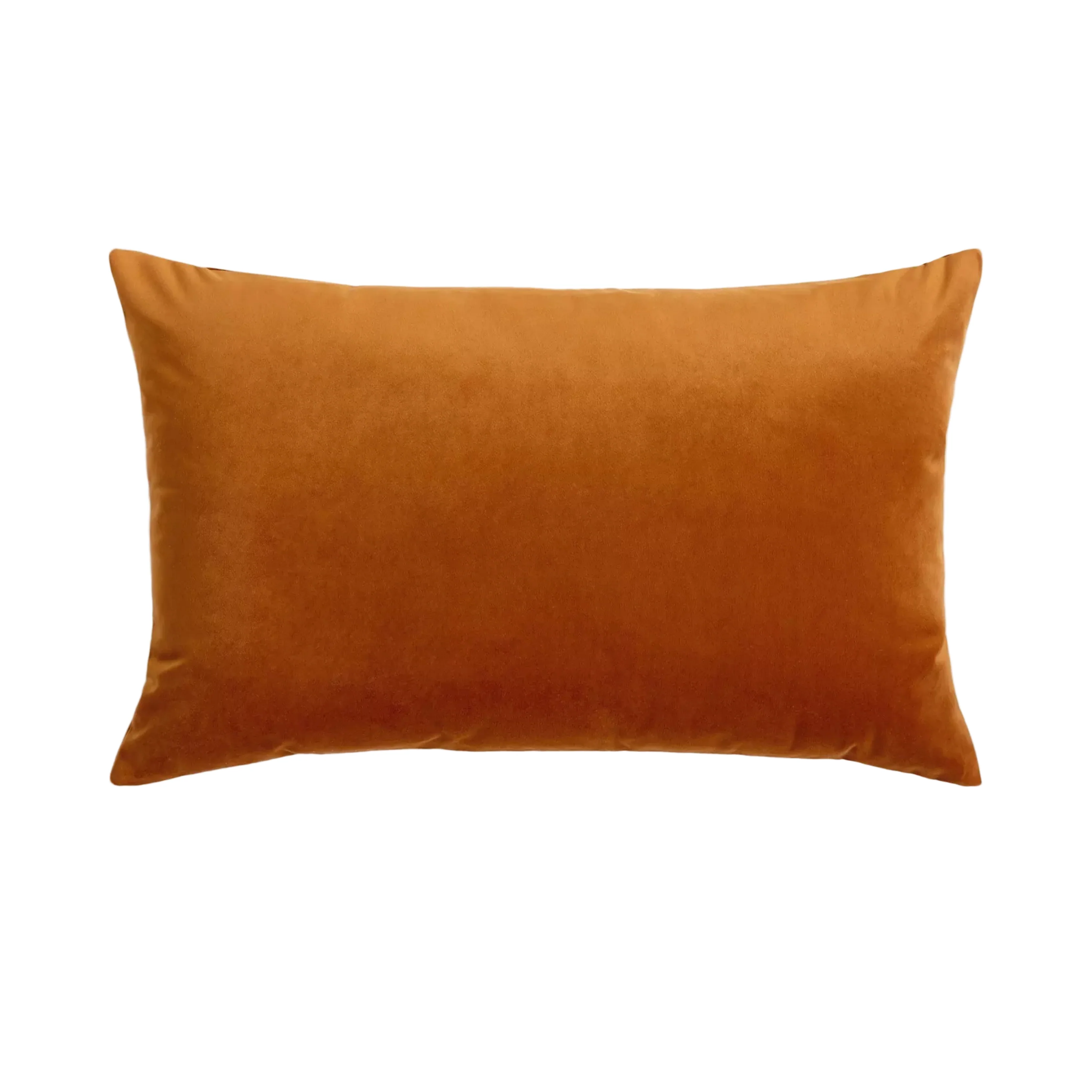 Burnished Velvet Accent Cushion