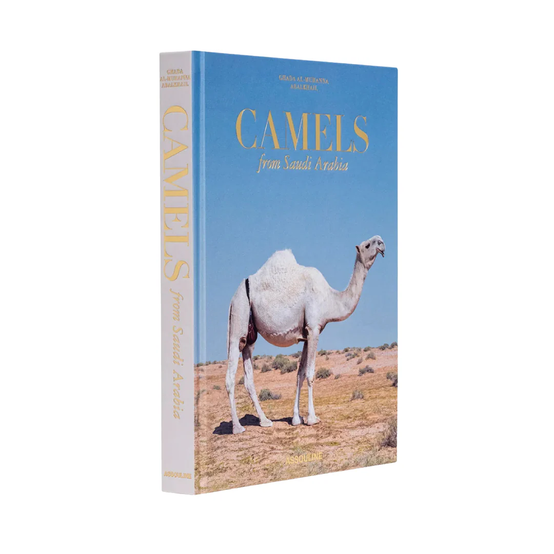 Camels From Saudi Arabia (Classic) - Image 2
