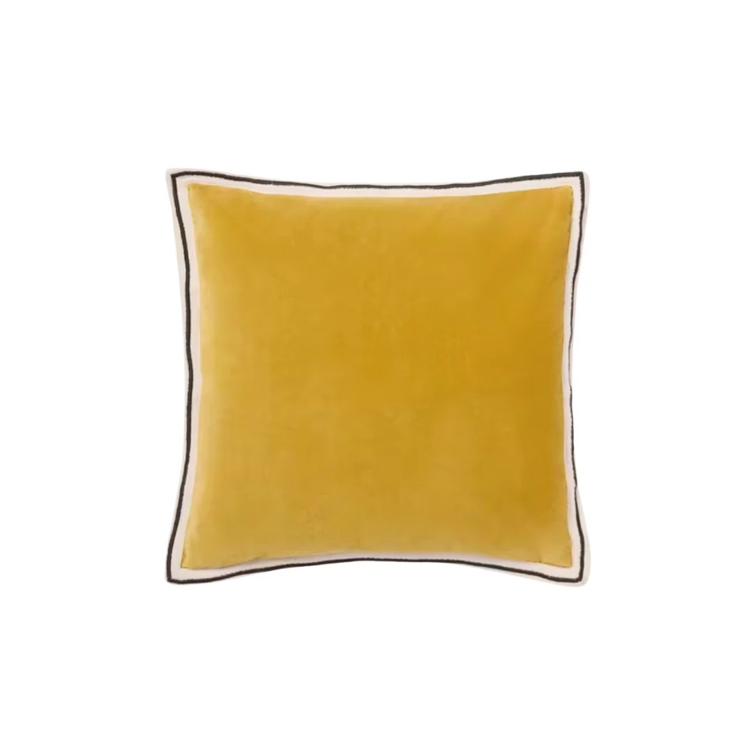Golden Veil Bordered Velvet Cushion