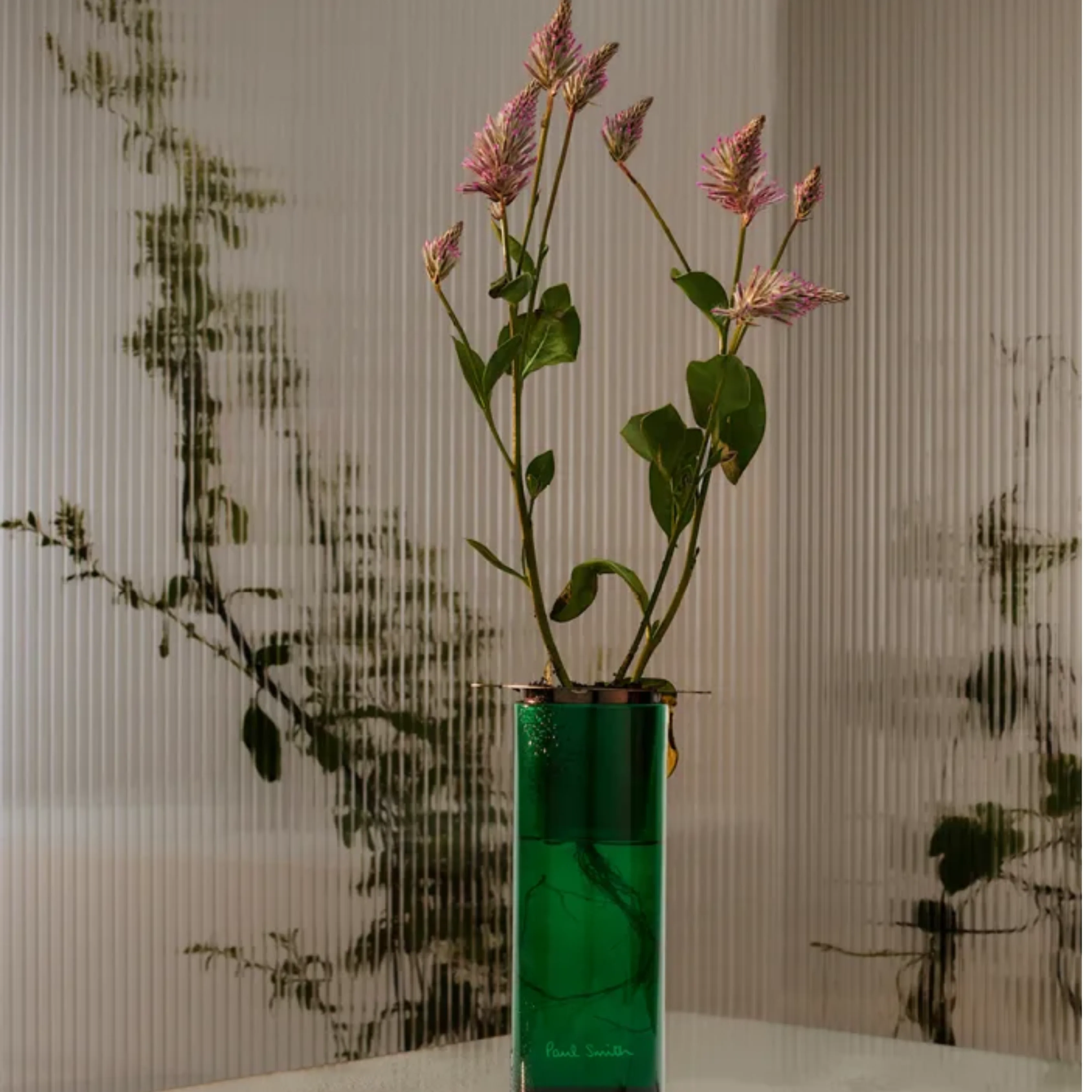 Botanist 1000g Candle - Image 4
