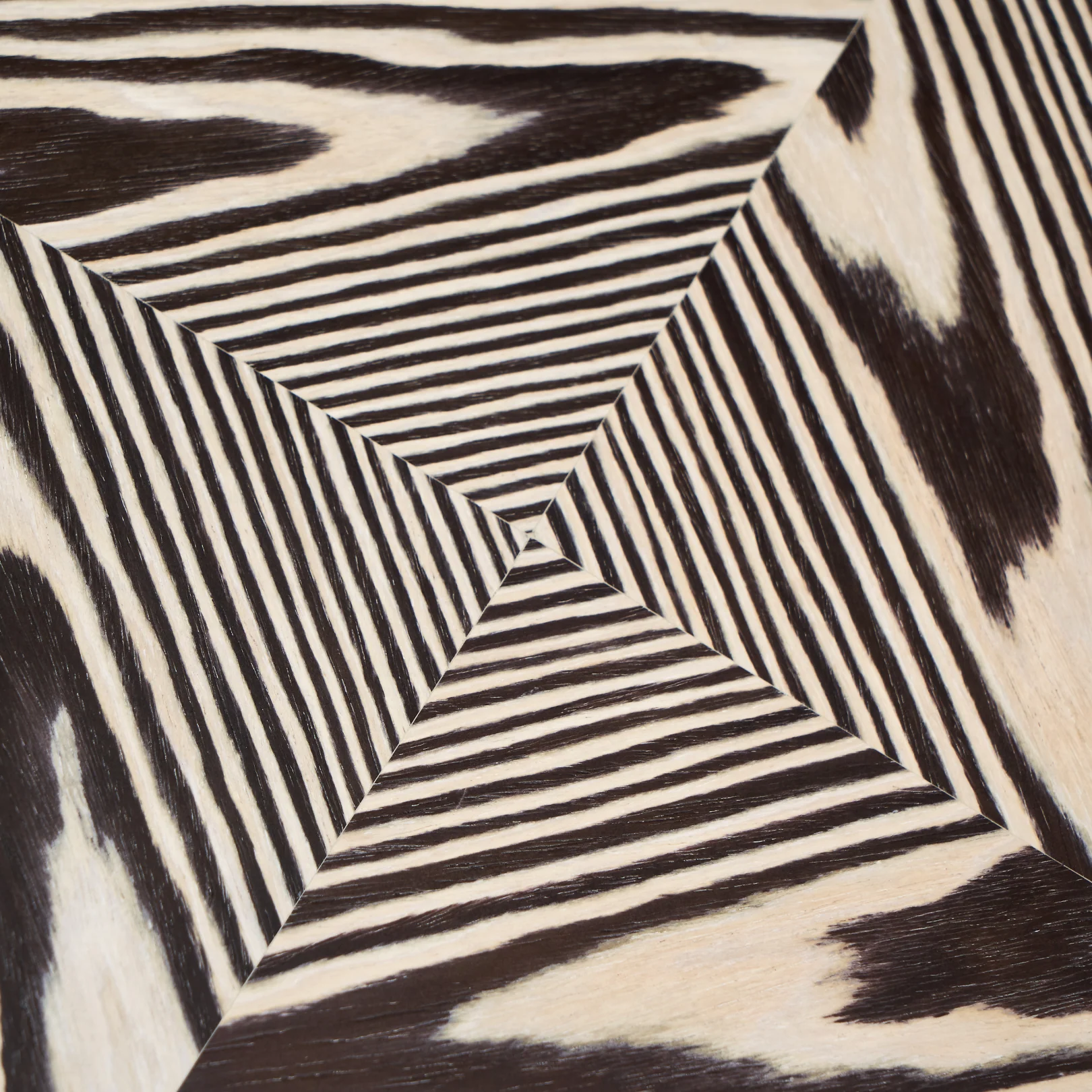 Zebra Coffee Table - Image 5