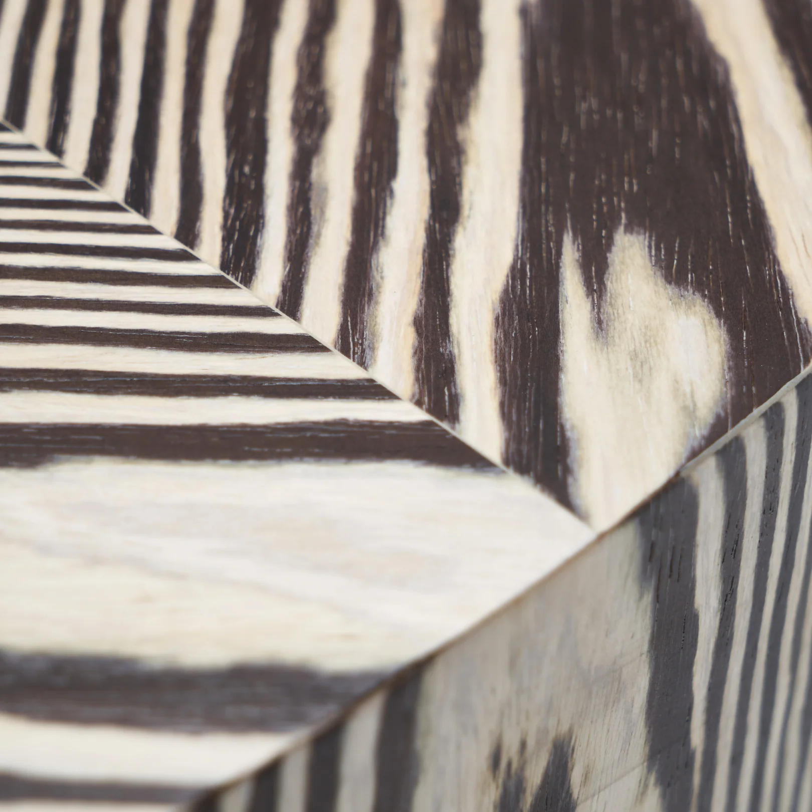 Zebra Coffee Table - Image 7