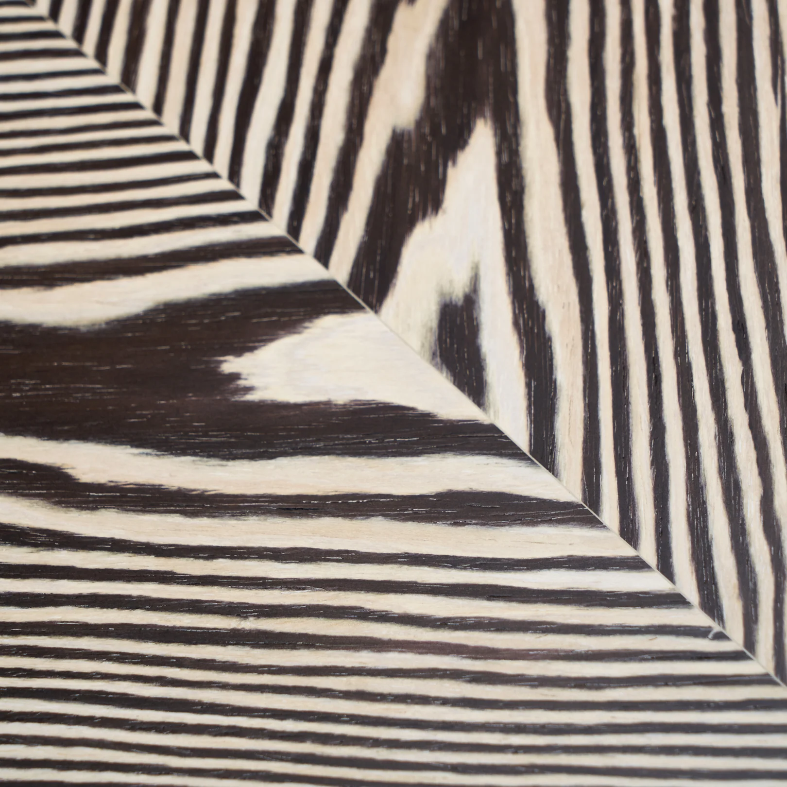 Zebra Coffee Table - Image 8