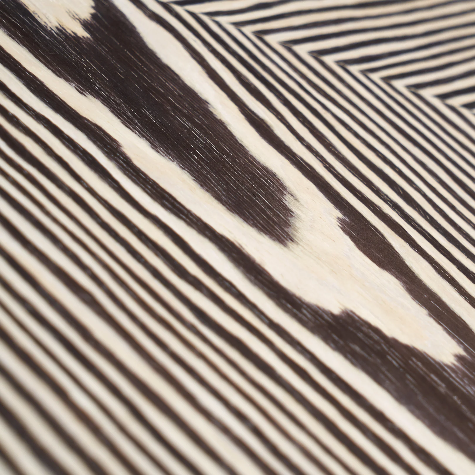 Zebra Side Table - Image 7